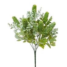 ZELEŇ SUKULENT ZEL-BIELA, DROB. LÍSTKY 33CM - FLORASYSTEM