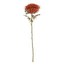 KS CHRYZANTÉMA TEHLOVÁ STRAPATÁ 65CM - FLORASYSTEM