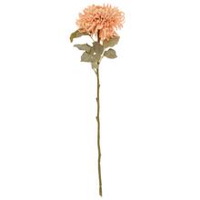 KS CHRYZANTÉMA BL. ORANŽOVÁ STRAPATÁ 65CM - FLORASYSTEM