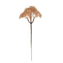 ZÁPICH ZELEŇ TRACHELIUM MEDENÉ 18CM - FLORASYSTEM