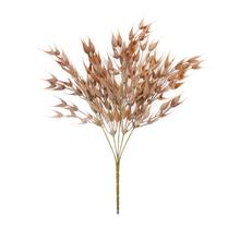 ZELEŇ KLASY HNEDÉ 38CM - FLORASYSTEM
