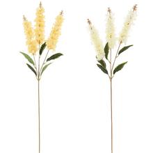 KONÁR ORGOVÁN MIX/2F 87CM  - FLORASYSTEM