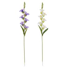 KS GLADIOLA MIX/2F 78CM - FLORASYSTEM