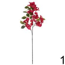 Konár Bungevila mix s červenými a fialovými kvetmi.