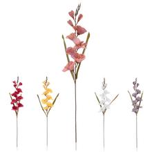KS GLADIOLA MIX/5F 77CM - FLORASYSTEM