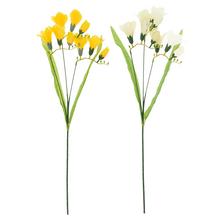 KS FRÉZIA x3 MIX/2F 56CM - FLORASYSTEM