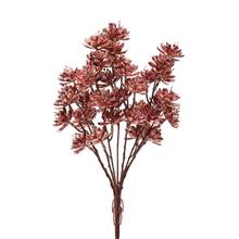 ZÁPICH ZELEŇ SUKULENT BIELO-BORDOVÁ 38CM - FLORASYSTEM