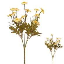 KYTICA MARGARÉTKY MIX/2F 30CM - FLORASYSTEM
