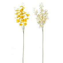KS ORCHIDEA ONCIDIUM MIX/2F 85CM - FLORASYSTEM