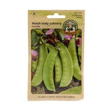 Semená hrachu siateho cukrového CAROUBY 20g