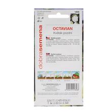 KARFIOL NESKORÝ OCTAVIAN 0,3g - FLORASYSTEM