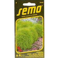 KOCHIA METLOVITÁ KOCHIE 0,7g - FLORASYSTEM