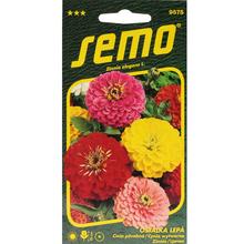 CÍNIA GEANT DE CALIFORNIA 0,7g  - FLORASYSTEM