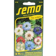 ČERNUŠKA DAMASCÉNSKA PERSIAN JEW 1g  - FLORASYSTEM