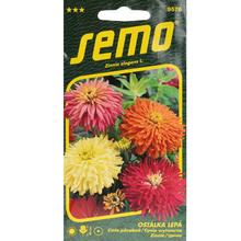 Semená kvetov Cínia Kaktusokvetá 0,7g