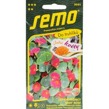 KAPUCÍNKA BABY ROSE jedlé kvety 2g - FLORASYSTEM