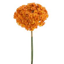 ZVÄZOK ACHILEA ORANŽOVÁ 32CM - FLORASYSTEM