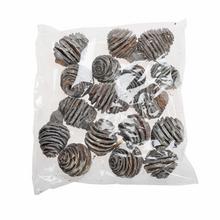 Platyspermum stone washed 4-6cm 200g/pacz -susz - FLORASYSTEM