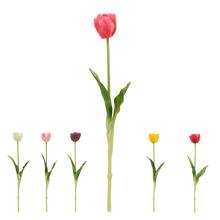 KS TULIPÁN MIX 6F 40CM - FLORASYSTEM