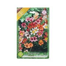 SPARAXIS - FLORASYSTEM