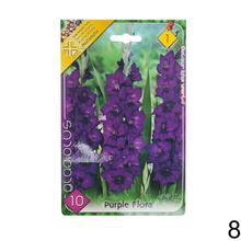 Zmes cibuľovín gladiolov v rôznych farbách.