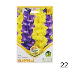 Zmes cibuľovín gladiolov v rôznych farbách.