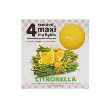 ČAJOVÉ VOŇAVÉ MAXI/4 CITRONELLA - FLORASYSTEM