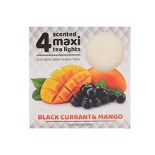 ČAJOVÉ VOŇAVÉ MAXI/4 RÍBEZ&MANGO 6x6x2,2cm - FLORASYSTEM