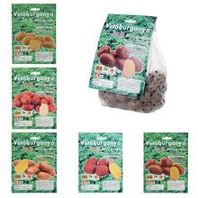 Sadbové zemiaky - Mix 50ks - FLORASYSTEM