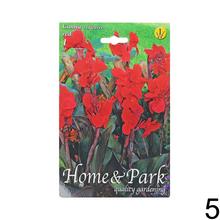 Semená Canna Mix s rôznymi odrodami kvetov.