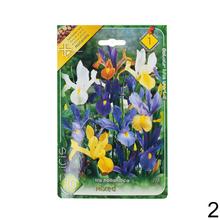 Sada cibuľovín IRIS MIX s rôznymi farbami kvetov.