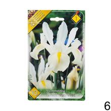 Sada cibuľovín IRIS MIX s rôznymi farbami kvetov.