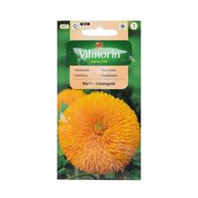 Semená slnečnice Sungold 2g.