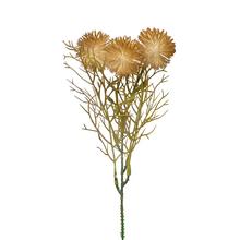 ZÁPICH BODLIAK HNEDÁ 24cm - FLORASYSTEM