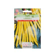 Semená fazule Berggold kríčková žltá 20g