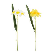 KS NARCIS x5 30CM MIX 2F - FLORASYSTEM