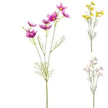 KS COSMOS 3F 57CM - FLORASYSTEM