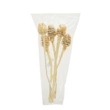 Platyspermum 25-30cm wyb.1-paczka 5szt -susz - FLORASYSTEM