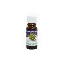 LITSEA CUBEA cz - FLORASYSTEM