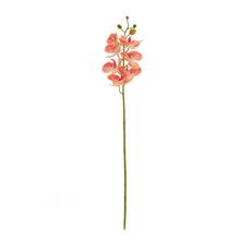 KS ORCHIDEA x7 73CM RUŽOVOŽLTÁ - FLORASYSTEM