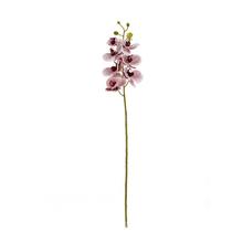 KS ORCHIDEA x7 73CM BORDOVO-BIELA - FLORASYSTEM