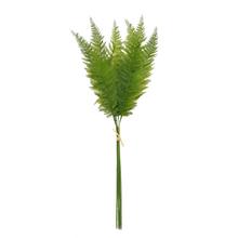 ZELEŇ PAPRAĎ ZVÄZOK  x6 78CM - FLORASYSTEM