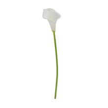 KS CALLA BIELA 34CM - FLORASYSTEM