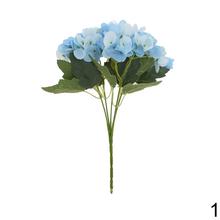 Kytica hydrangea mix s rôznymi farbami.