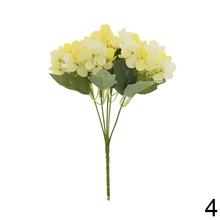 Kytica hydrangea mix s rôznymi farbami.