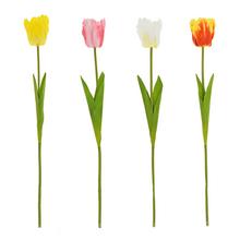 KS TULIPÁN, MIX/4F 50CM - FLORASYSTEM