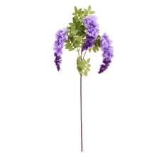 KONÁR WISTÉRIA FIALOVÁ 100CM - FLORASYSTEM