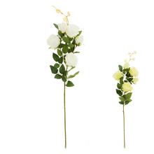 KS RUŽA 5-HLÁV, ZELEŇ, MIX/2F 77CM - FLORASYSTEM