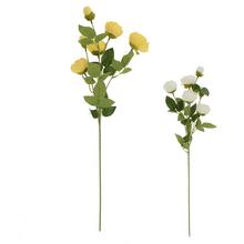 KS PIVONKA 6-PUKOV, ZELEŇ, MIX/2F 63CM - FLORASYSTEM