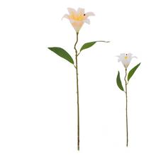 KS ĽALIA MIX/2F 47CM - FLORASYSTEM